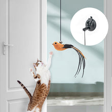 Hanging Door Toy Hanging Cat Teaser
